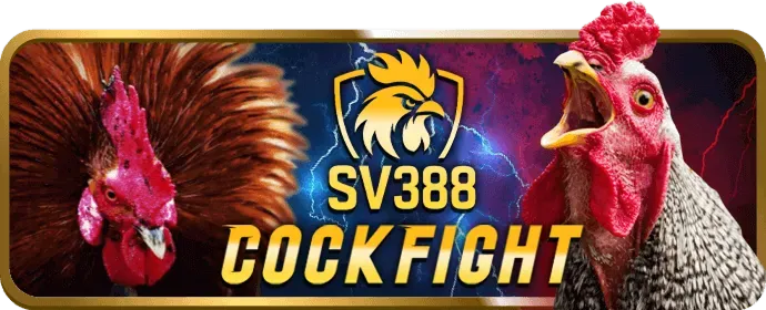 Hoàn trả hàng tuần tại 79bet